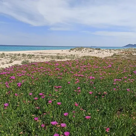 Holiday home Casa Perla Rei - 50 Meters From The *